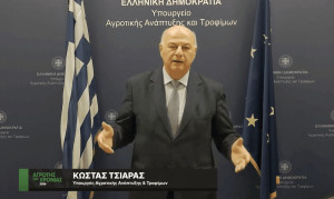 Τσιάρας: Η μετάβαση στη γεωργία έντασης κεφαλαίου είναι το κλειδί για ανταγωνιστικό Έλληνα παραγωγό