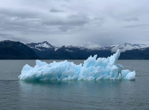 World Weather Network: Μια παγκόσμια ψηφιακή πλατφόρμα καλλιτεχνικής δημιουργίας για την κλιματική κρίση