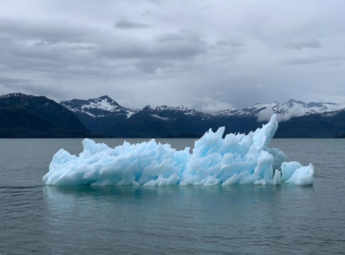 World Weather Network: Μια παγκόσμια ψηφιακή πλατφόρμα καλλιτεχνικής δημιουργίας για την κλιματική κρίση