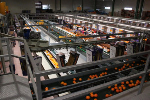 Ευρωζώνη: Σε τροχιά ανάπτυξης τον Ιανουάριο η επιχειρηματική δραστηριότητα