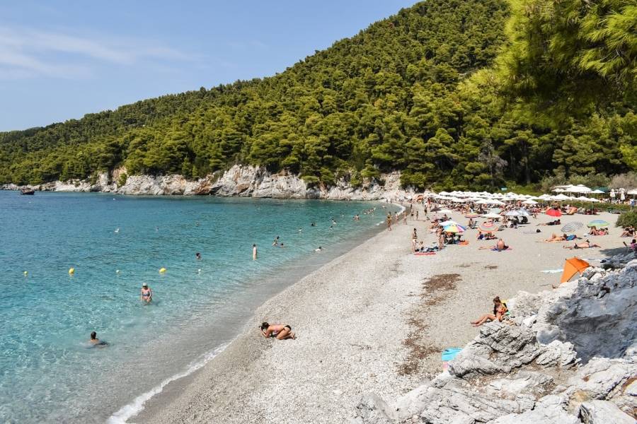 WWF Ελλάς: Τα προβληματικά σημεία του νομοσχεδίου για τον αιγιαλό