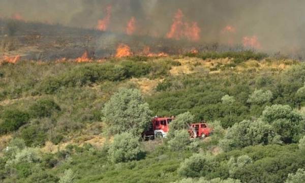 Υπό μερικό έλεγχο η πυρκαγιά στο Πόρτο Γερμενό