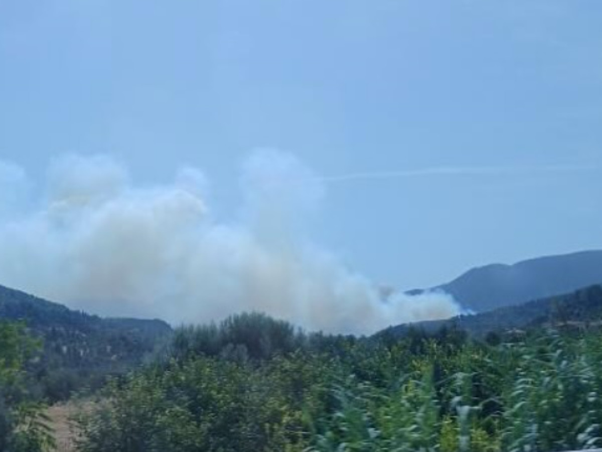 Βελτιωμένη εικόνα παρουσιάζει η πυρκαγιά στο Άλσος Αχαΐας