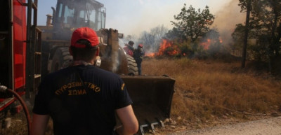 Φωτιά στην Αλεξανδρούπολη: Προσπάθειες να μην φτάσει στη βιομηχανική ζώνη