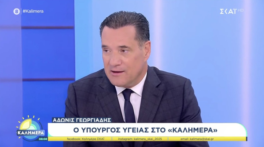 Γεωργιάδης: Στηρίζω απόλυτα τα μέτρα Χρυσοχοΐδη – Εξέφρασα μία προσωπική θέση για την οπλοκατοχή