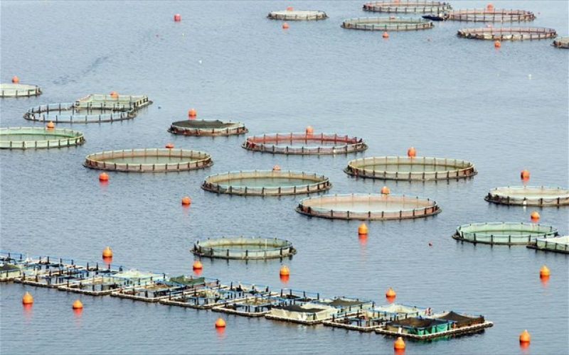 Σελόντα: Ραντεβού το Σεπτέμβρη για τη διαχείριση του χρέους