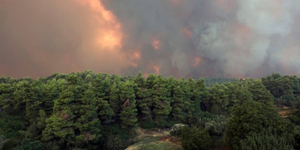 Νότια Γαλλία: 1000 πυροσβέστες κινητοποιήθηκαν σε δύο πυρκαγιές