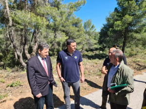 Πολιτική Προστασία: Επίβλεψη έργων πρόληψης και αντιπυρικής προστασίας στην Αττική