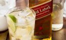 Η Diageo γιορτάζει την Παγκόσμια Ημέρα Σκωτσέζικου Ουίσκι στις 8/2