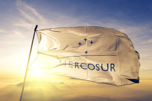 Η ΕΕ ποντάρει στη Mercosur παρά τις αντιδράσεις των αγροτών – Στο βάθος οι δασμοί Τραμπ και η Κίνα