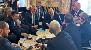 Έρχεται η ώρα των δελφίνων;