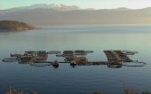 Γαλαξίδι: Την διαγραφή απ' το ΧΑ αποφάσισαν οι μέτοχοι