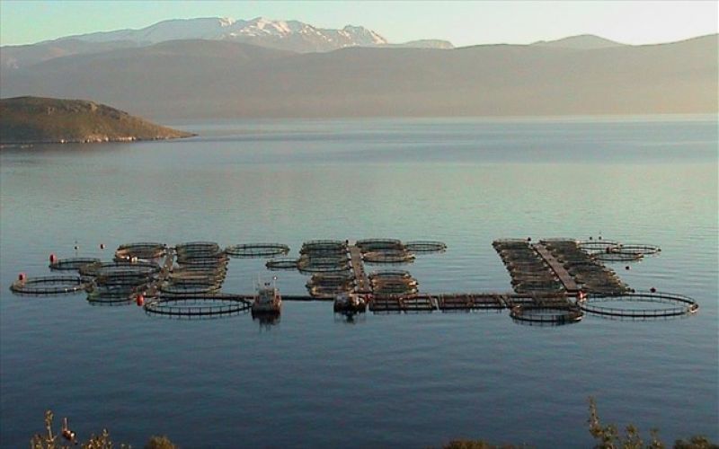Γαλαξίδι: Την διαγραφή απ' το ΧΑ αποφάσισαν οι μέτοχοι