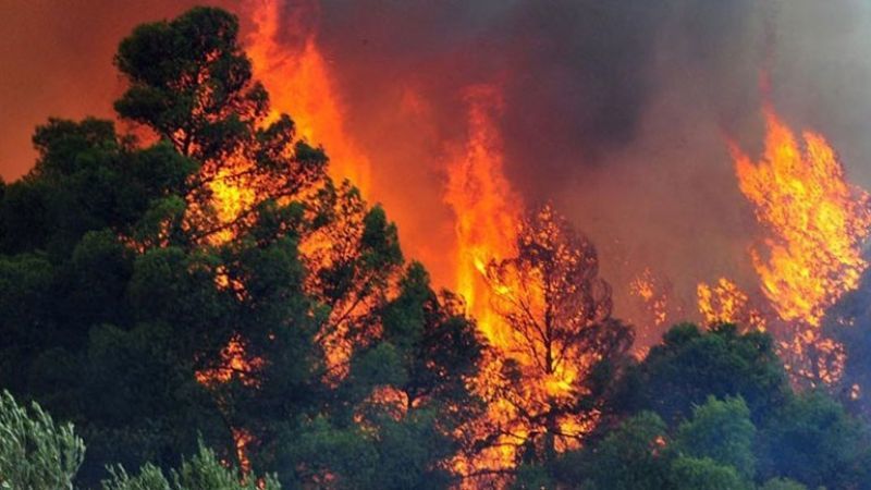 Ζάκυνθος: Σε κλοιό 10 πύρινων μετώπων - μάχη να ελεγχθεί κατάσταση