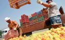 Επιπλέον 125 εκατ. ευρώ για τους γεωργούς που επλήγησαν από το ρωσικό εμπάργκο