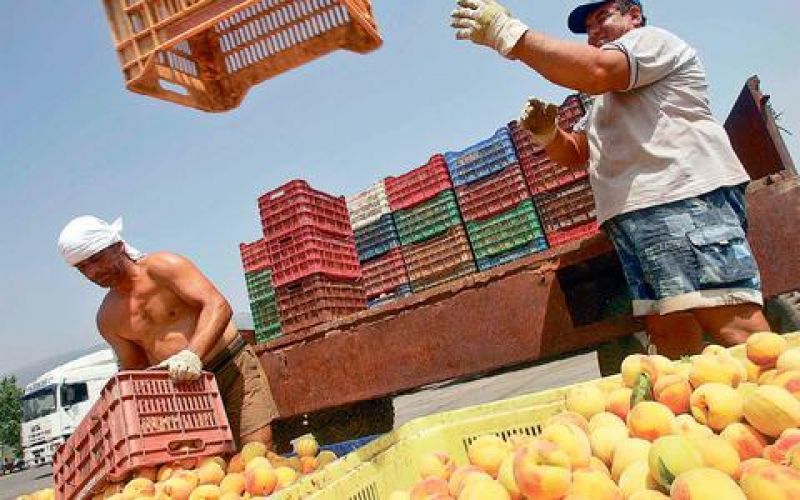 Επιπλέον 125 εκατ. ευρώ για τους γεωργούς που επλήγησαν από το ρωσικό εμπάργκο