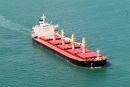 Σε pool εννέα πλοία της Star Bulk