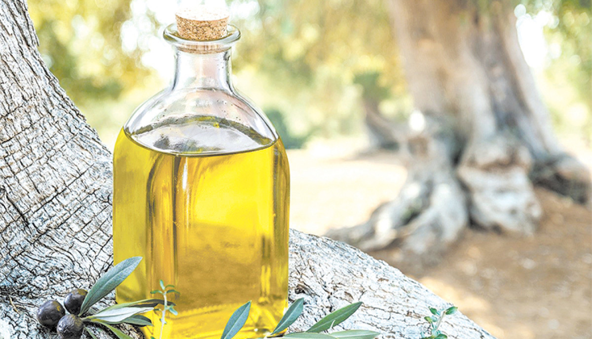 Ο ΣΕΒΙΤΕΛ ζητά προστατευτικές δικλείδες ασφαλείας για το ελαιόλαδο