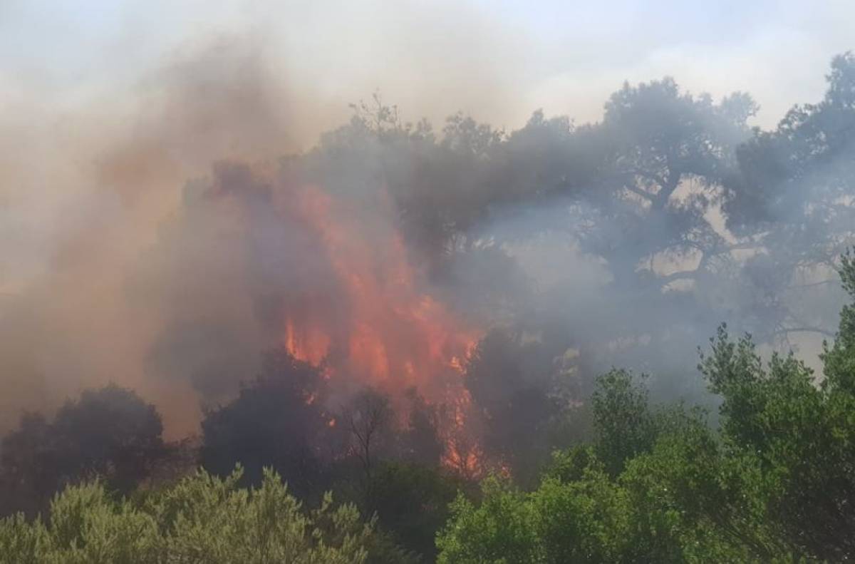 Ισχυρή πυρκαγιά στον Βαρνάβα-Φωτιά και στην Ελευσίνα