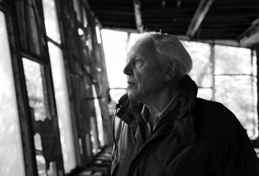 Υποψήφιος για Νόμπελ Ειρήνης ο 95χρονος Sir David Attenborough