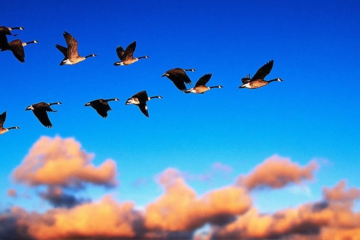 Γιατί τα λαμπρά μυαλά εγκατέλειψαν τη χώρα