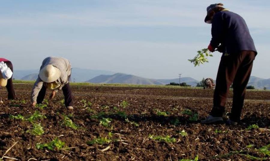 Επτά μέτρα ύψους 170 εκατ. για τη στήριξη των αγροτών