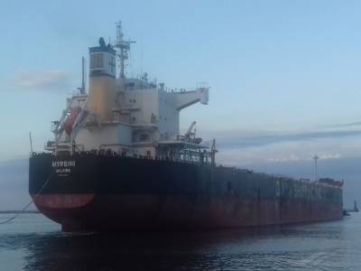 Diana Shipping: Ναύλωσε το φορτηγό πλοίο «Myrsini» στην Bocimar International