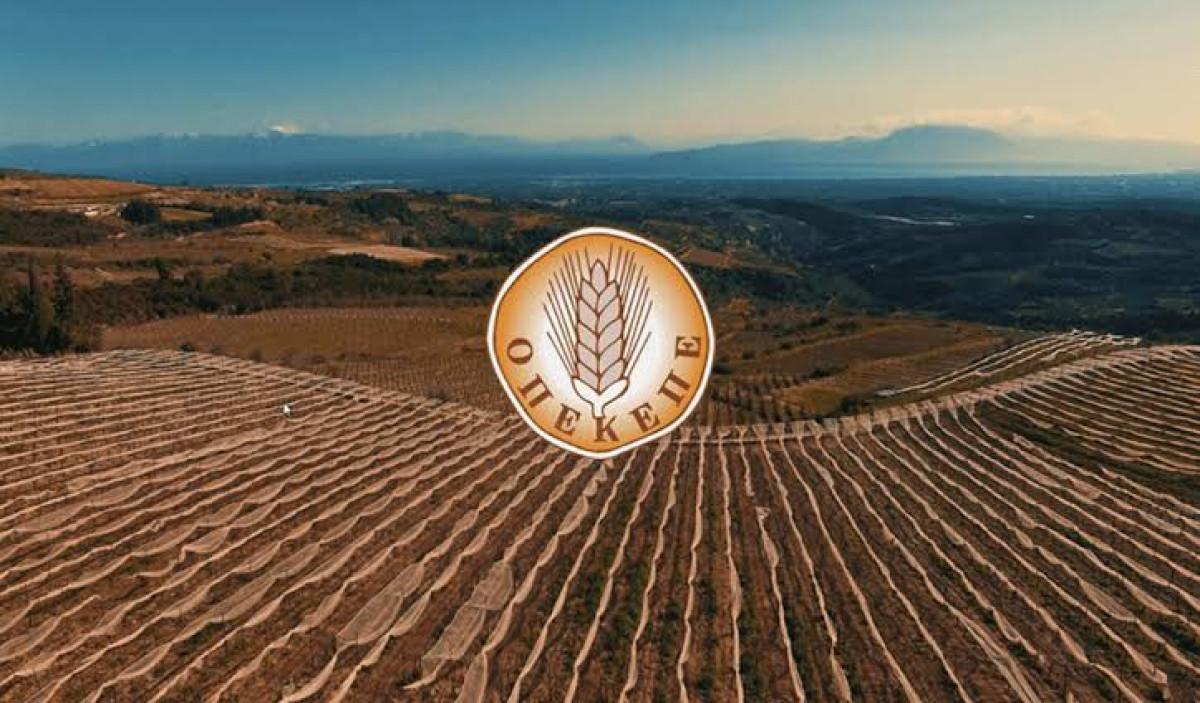 Σκάνδαλο ΟΠΕΚΕΠΕ: Διώξεις της Ευρωπαϊκής Εισαγγελίας σε Σκρέκα, Παπακώστα, Μπουκώρο, Σενετάκη
