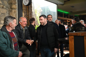 Ανδρουλάκης: Η ψήφος του λαού εμπόδιο στο νεοναζιστικό μόρφωμα