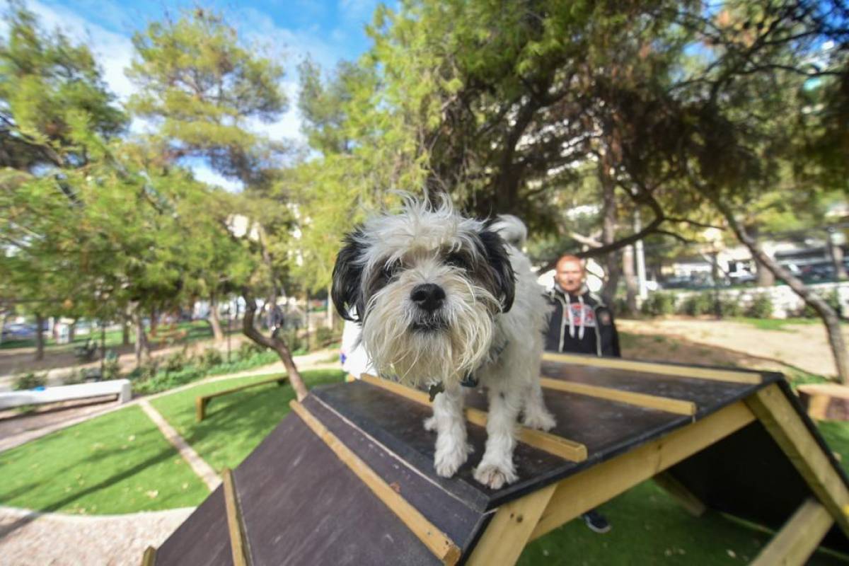 Δήμος Αθηναίων: Πάρκα αναψυχής για τους… πιο πιστούς μας φίλους