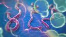 Το κακό σενάριο για τον Ebola δια στόματος… Goldman Sachs