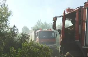 Φωτιά στην Αττική: Δύο βασικά μέτωπα σε Μαλακάσα, Θρακομακεδόνες