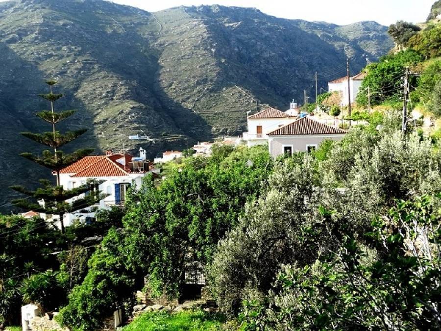 Άνδρος: Πυρκαγιά σε δασική έκταση