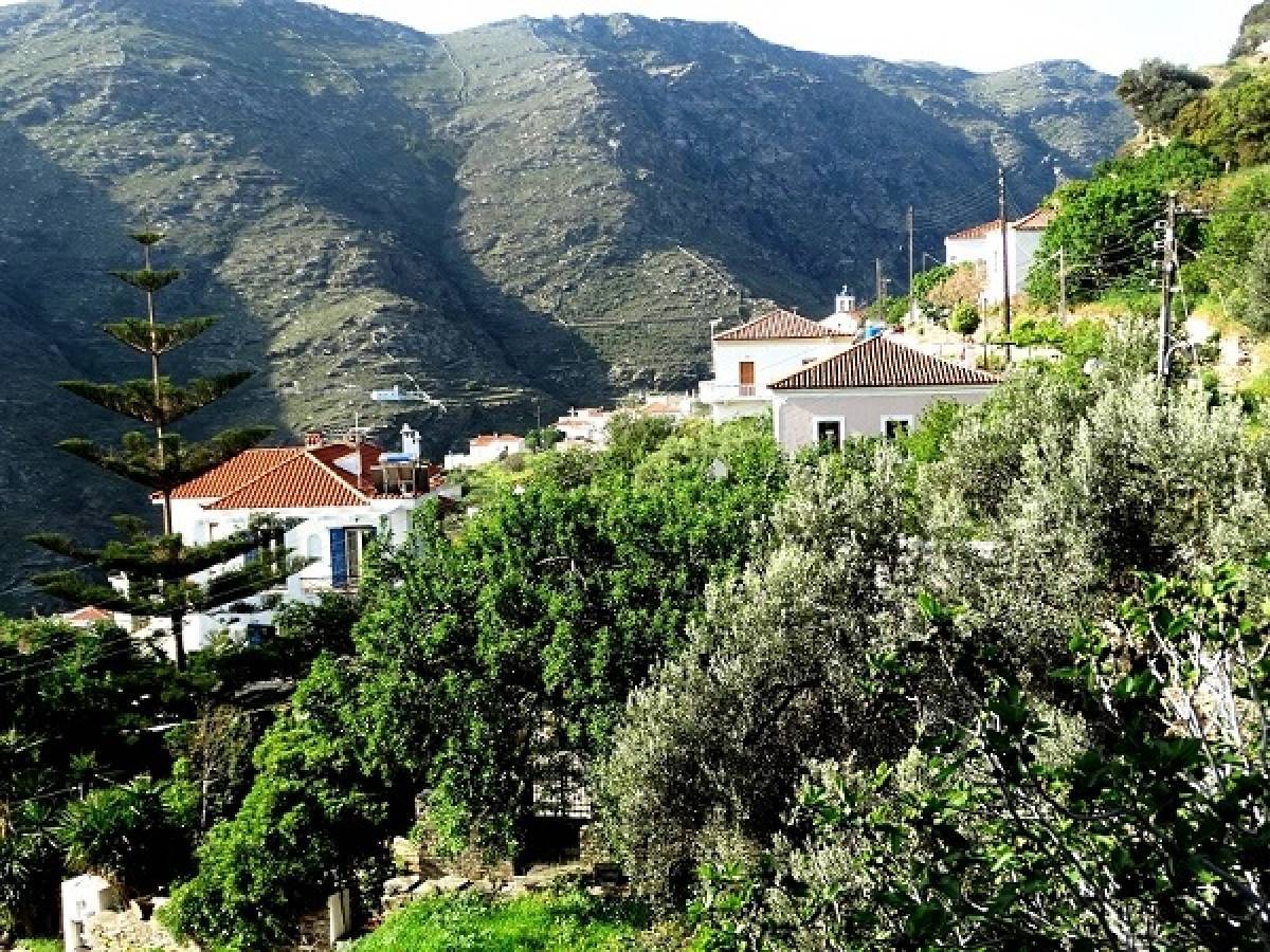 Άνδρος: Πυρκαγιά σε δασική έκταση