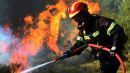 Κοκκινιά Τροιζηνίας: Σε εξέλιξη πυρκαγιά σε δασική περιοχή