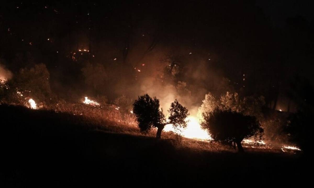 Μεγάλη πυρκαγιά στο Σοφικό Κορινθίας - Εκκενώθηκαν οικισμοί