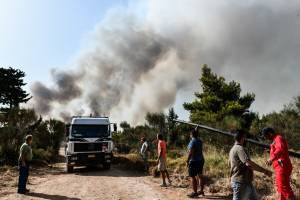 Δήμοι Αττικής: Συγκέντρωση και αποστολή βοήθειας στους πυρόπληκτους