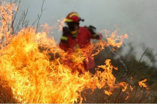 Υπό μερικό έλεγχο η πυρκαγιά στην Κάρυστο