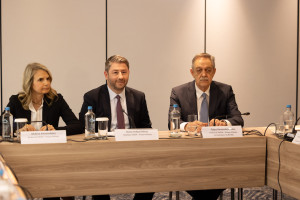 Ανδρουλάκης: Οι τρεις πυλώνες για εύρυθμη λειτουργία του τραπεζικού συστήματος