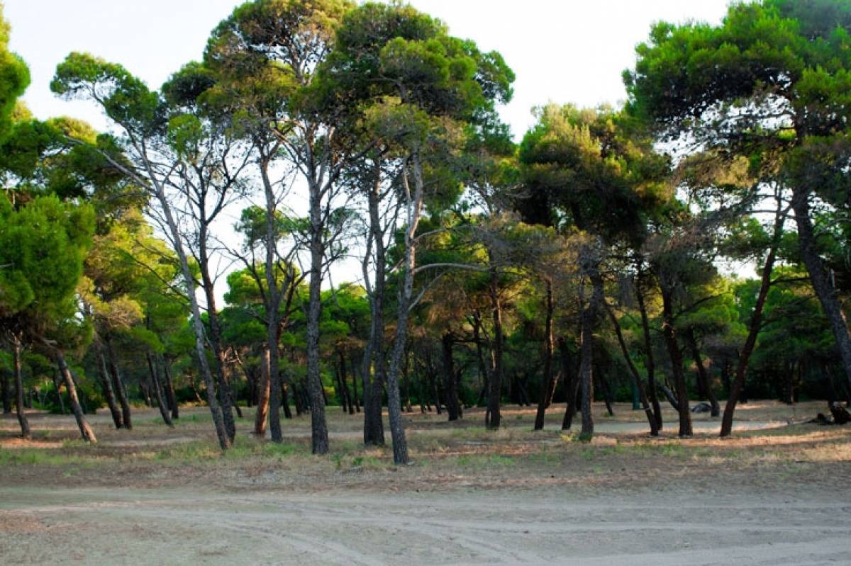 Κλείνει το Εθνικό Πάρκο Σχινιά - Μαραθώνα την Τετάρτη