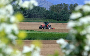 Εργάτες γης: Έρχεται προς κύρωση στη Βουλή η συμφωνία Ελλάδας-Αιγύπτου