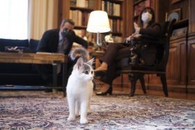 Η… προεδρική γάτα Καλυψώ και η γνωριμία της με τον Πρωθυπουργό