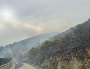 Σε ύφεση η φωτιά που ξέσπασε στη Λευκάδα
