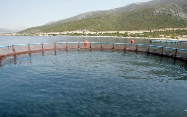 Δίας: Επικυρώθηκε η συμφωνία εξυγίανσης από το Πρωτοδικείο