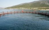 Δίας: Επικυρώθηκε η συμφωνία εξυγίανσης από το Πρωτοδικείο