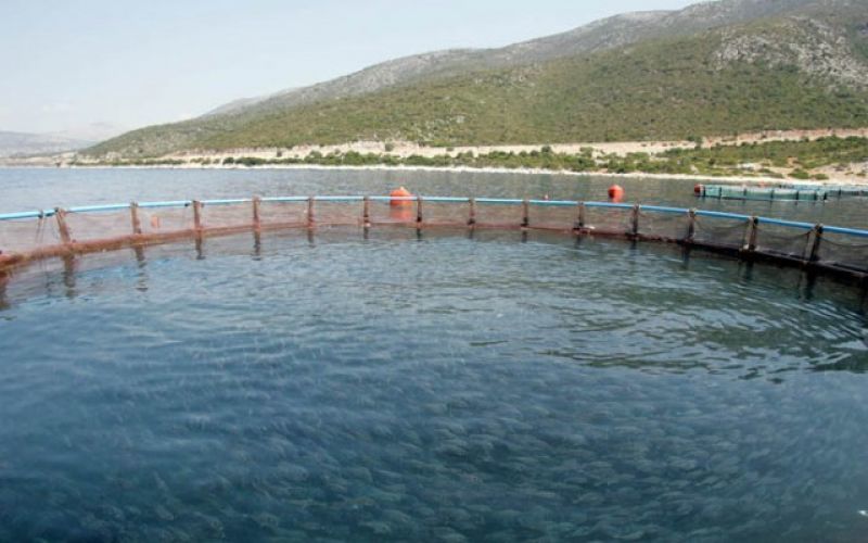 Δίας: Επικυρώθηκε η συμφωνία εξυγίανσης από το Πρωτοδικείο