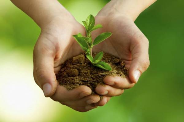 Adopt-A-Tree: Πιλοτικό πρόγραμμα του δήμου Αθηναίων για το πράσινο