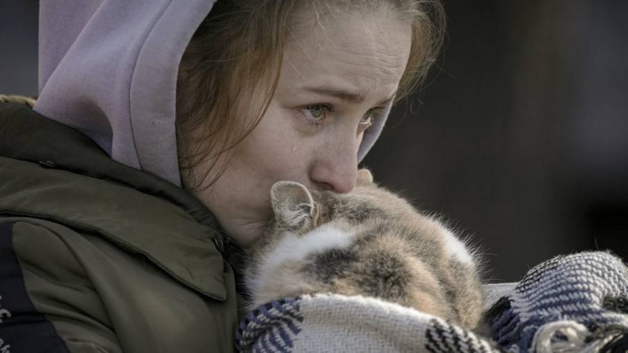 Αγώνας για τη διάσωση ζώων στην Ουκρανία