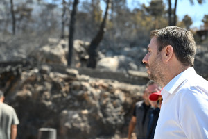 Ανδρουλάκης για Πολιτική Προστασία: Να μη μένει στα λόγια η ετοιμότητα και στα χαρτιά η πρόληψη