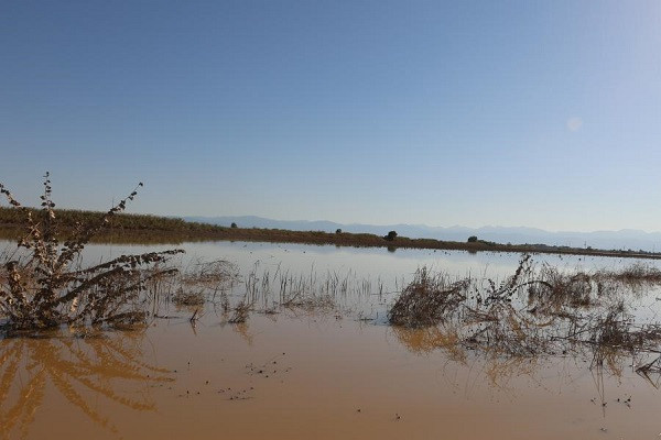 Ακατάλληλο το νερό στον Βόλο- Ποιες οδηγίες δόθηκαν στους κατοίκους